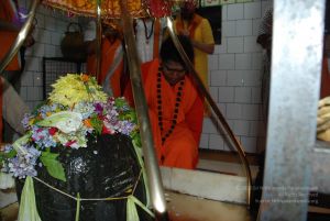 20080701 Photo 1267 1bisP WfJTrV ZJMz0p6ap0C89 tBqKtV.JPG