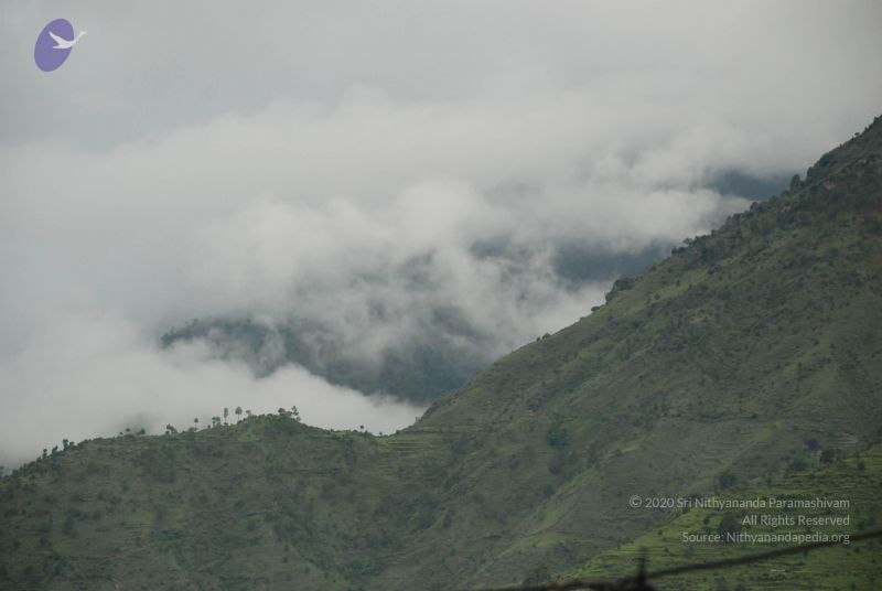 File:20080701 Photo 1478 1NVLJEEFy4WZkJ 5I9t8qlpaLE LDfZfI.JPG