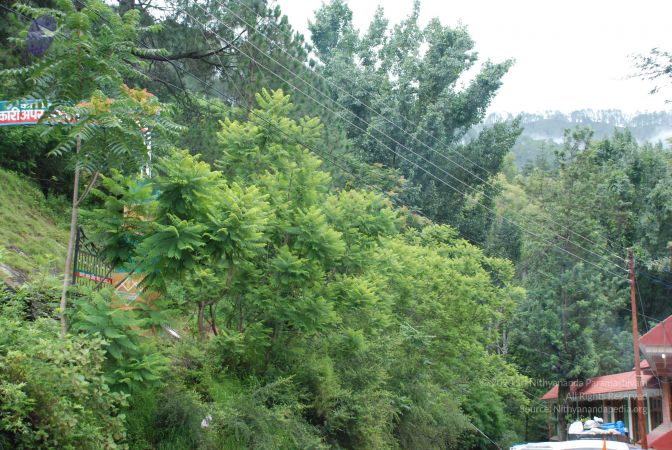 20080701 Photo 1480 1tA9EwqsO7vIzRz5MeginRtWkmexhHTSX.JPG