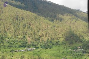 20080701 Photo 1486 1zpILWJhhs07QsmVjoNxiNQFx84mhjs1 .JPG