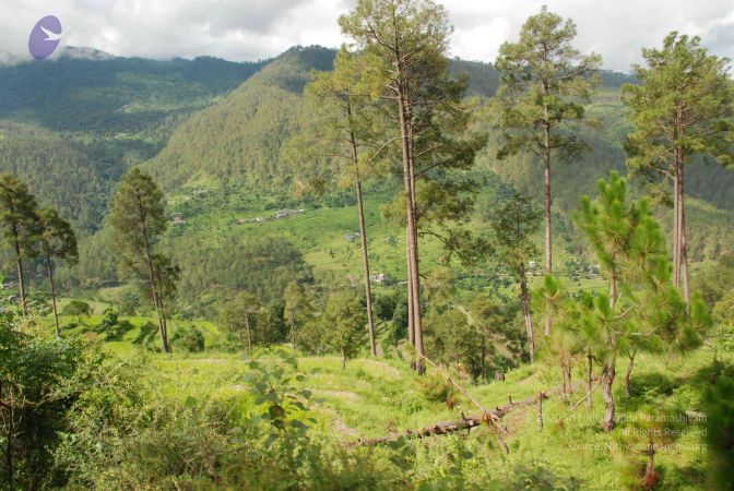 20080701 Photo 1490 1vU95Uq0sYTCPwnJkiweeaVMo3Ia-Eq1O.JPG