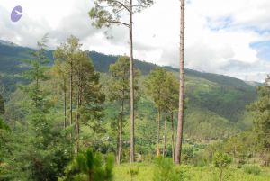 20080701 Photo 1491 1ARGP WQ5gTuMdzdL9udywEX18Nxt65XQ.JPG