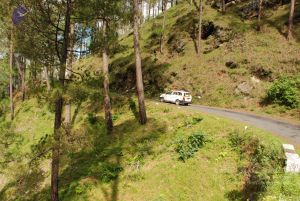 20080701 Photo 1495 1o0g6uNP6kIehglnIyYfaVLGEEA9Ng1fI.JPG