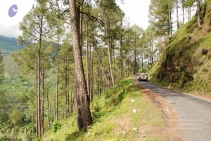 20080701 Photo 1498 1KJqIFLndPnMP6osfyIH00mwr5nVWLb3y.JPG