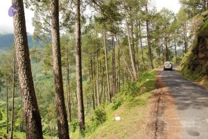 20080701 Photo 1499 1Zg9uixyH07E39PH4BLZSMNXoXU28TvTd.JPG