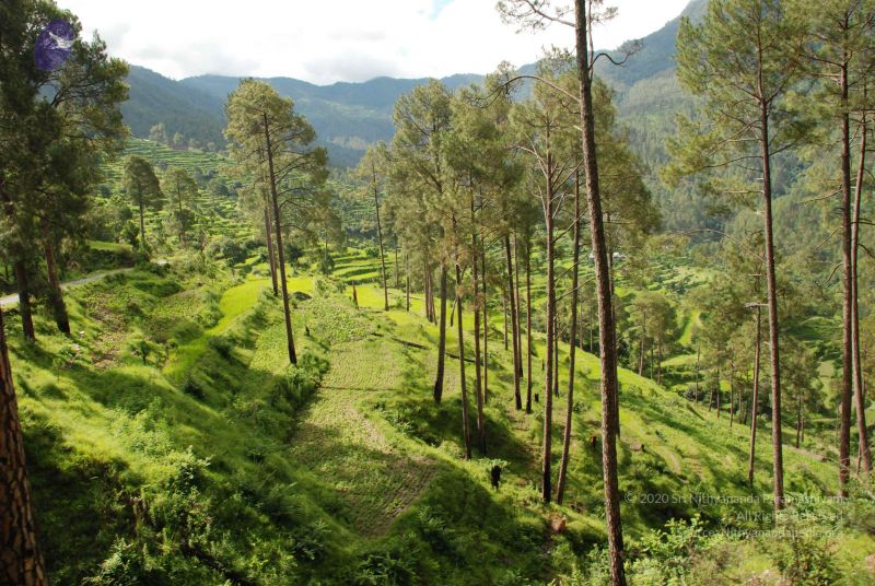 File:20080701 Photo 1501 11vdrk8jF46b6KB8JeE4AJcIy3NHvAXeq.JPG