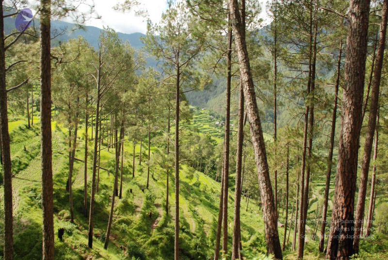 File:20080701 Photo 1502 1zIJOLDpuxgfzmA3-YkRL35kthovCobJt.JPG