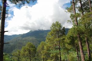 20080701 Photo 1507 1ep8brDP47kVCYlCW4Yv8Dxap2lONlPdu.JPG