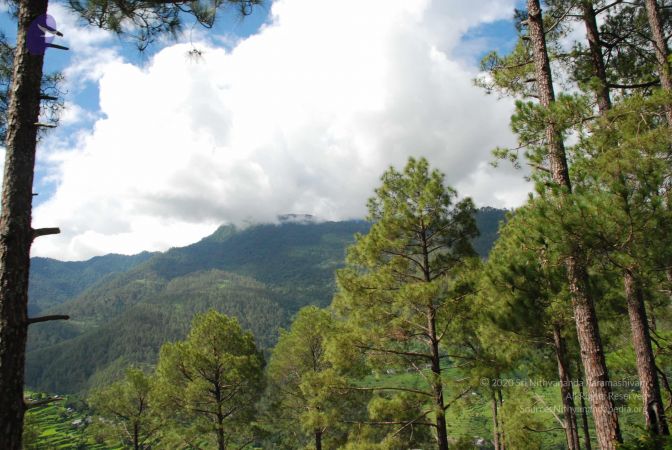 20080701 Photo 1507 1ep8brDP47kVCYlCW4Yv8Dxap2lONlPdu.JPG