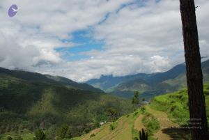 20080701 Photo 1511 1 smIM4YFK1B-kVCB3XIIxdv9RZwaixZD.JPG