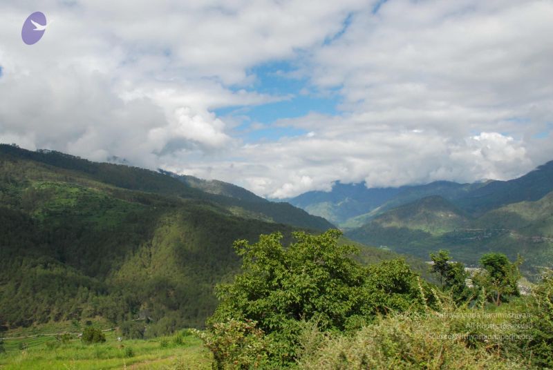 File:20080701 Photo 1519 13lFEvp7RkWLwrE9LTAA2H6n nu1DNSVC.JPG