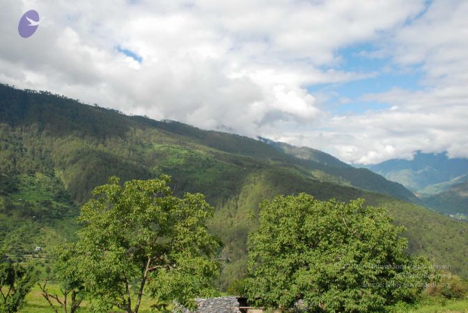 20080701 Photo 1524 1aOYzBYPLvzjo7gZN09uG1nf1wsZGcAYP.JPG