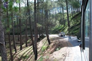 20080701 Photo 1528 1nrQy7n1RLZyo2z6h-ob6BSskrw4tfLL8.JPG