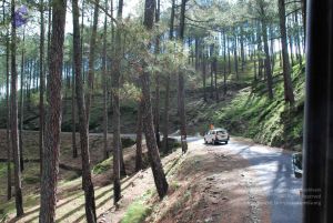 20080701 Photo 1529 1iqcUfkMrh8YoeRKnlrKtXWRB-BQ3IXfH.JPG