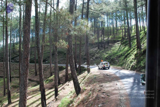 20080701 Photo 1529 1iqcUfkMrh8YoeRKnlrKtXWRB-BQ3IXfH.JPG