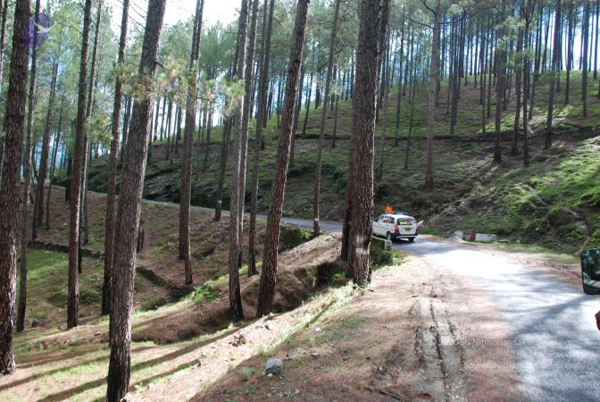 20080701 Photo 1530 1AlvQp5mK2l10Uv VbyCc-P6oPs-9F5TG.JPG