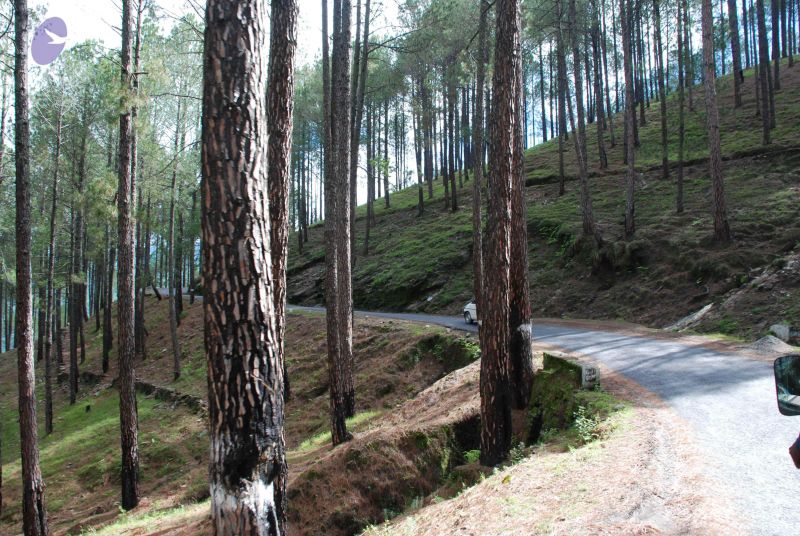 File:20080701 Photo 1531 1KF0QpOWAdQj8zj gLYomRSfq6ynZeIjX.JPG