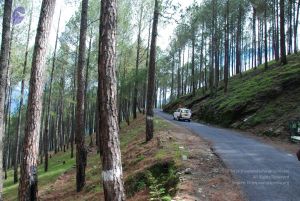 20080701 Photo 1533 1T4no22OxdF9Im7FfnSsC2a-dH9IiuYF5.JPG