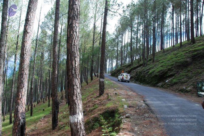 20080701 Photo 1533 1T4no22OxdF9Im7FfnSsC2a-dH9IiuYF5.JPG