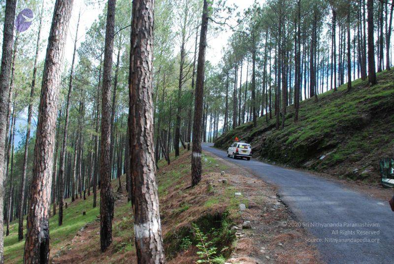 File:20080701 Photo 1533 1T4no22OxdF9Im7FfnSsC2a-dH9IiuYF5.JPG