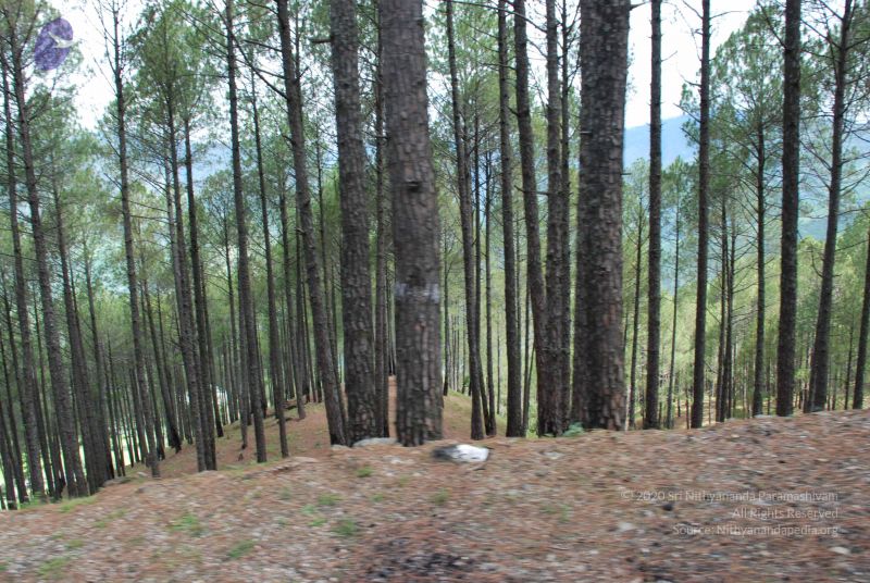 File:20080701 Photo 1535 1b8ncjiqE3aL7G4SwmPyhiZQozurk8TtZ.JPG