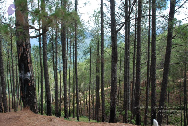 File:20080701 Photo 1536 1MZcQNgVUBG St7BfRRVH1vvc4NshWGwW.JPG