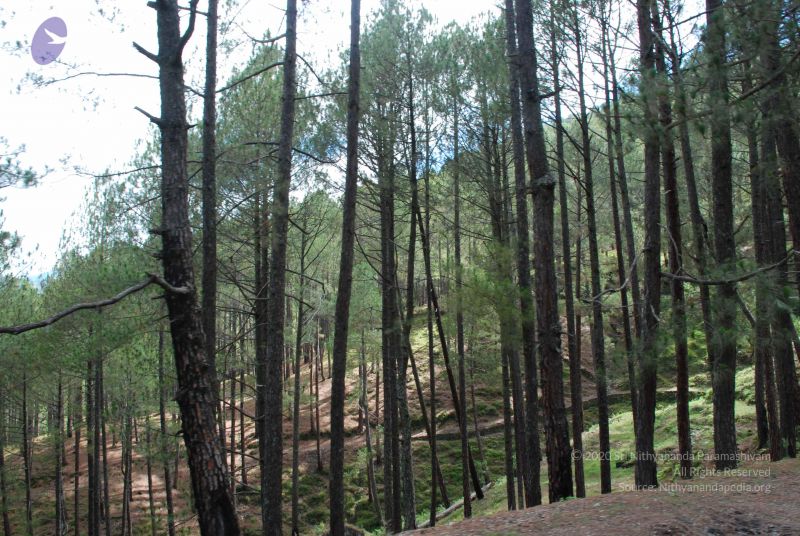 File:20080701 Photo 1539 1IRBxD6dDnc3wFd65RwSGl9pcRpkEqWE5.JPG