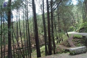 20080701 Photo 1540 1sgxtFNXHpKtNh6P0UqmtOf50PtV3s5U6.JPG