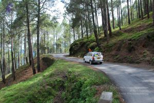 20080701 Photo 1544 1g22aXntwM2mJgmIyKhhtwc46-vVV6knB.JPG