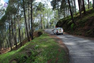 20080701 Photo 1545 1sExjDVEBZnNT6wRj6Pd-rQGcw82VaevO.JPG