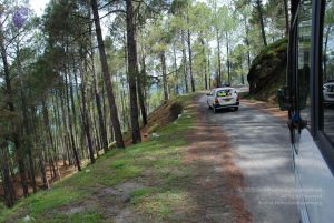 20080701 Photo 1546 19fbSb3HENXH6a8l239ZIp0ZJa5dq3Yso.JPG