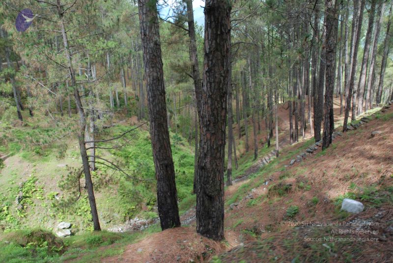 File:20080701 Photo 1548 1 b4NIZKhfSTTk cvgOMnbF1FqsmGVwQi.JPG