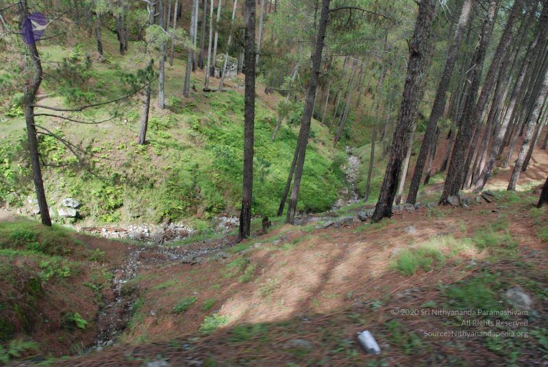 File:20080701 Photo 1549 1kQvbas-qjN9pMNmjcW7-uwCOGtyUq9Bl.JPG