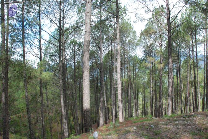 20080701 Photo 1550 1MUfkWLBxU7SMpIOhGXhGc m9lP-kiEkP.JPG