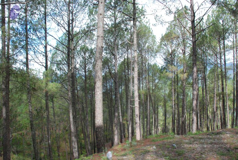 File:20080701 Photo 1550 1MUfkWLBxU7SMpIOhGXhGc m9lP-kiEkP.JPG