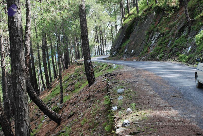 File:20080701 Photo 1553 1Cthb6Bbj-JLZ5t5w XlWoSlB2qSIZE01.JPG