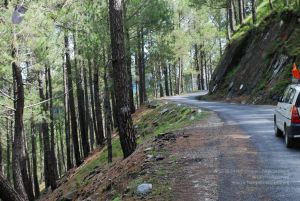 20080701 Photo 1554 12J6LrwwXNSoZ2KK-HhrJXrPkSTamdEga.JPG