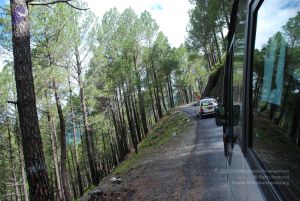 20080701 Photo 1555 1X3jHo2ADYM3gG8pxV9kkBiq 5uF 6b2t.JPG