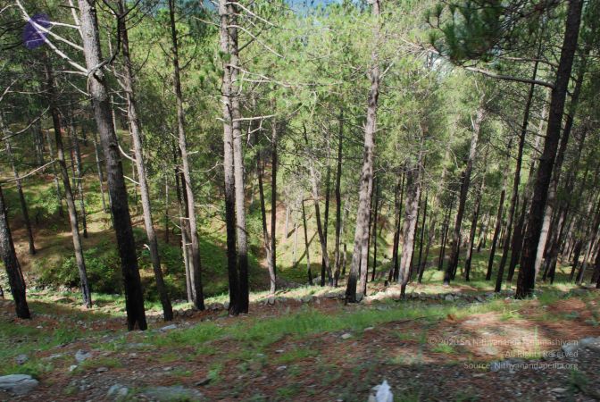 20080701 Photo 1559 16VOrbG-JjLS5 uFASfvIeuEhHYeLqeXl.JPG