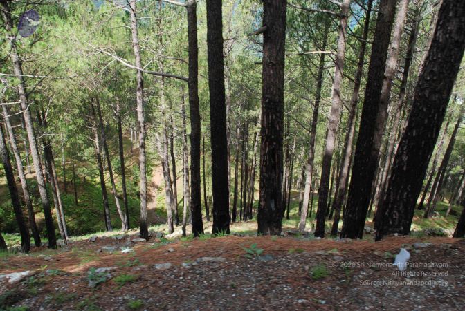 20080701 Photo 1560 1WCy1cX6ygF0k-bNZzoeu0U8dpqjSeej4.JPG