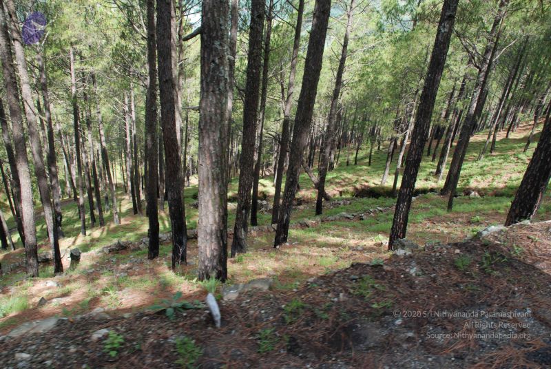 File:20080701 Photo 1562 1XHeVpjamkqEtcfcWm27TXLanIr3Zuz6s.JPG