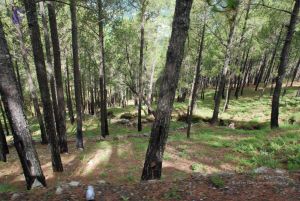 20080701 Photo 1563 1oiAWrWIUiLK9OhI8XDAzwdZzToYsr5 n.JPG