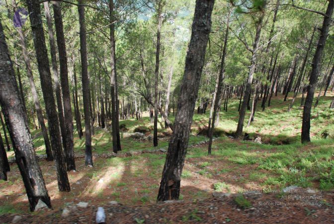 20080701 Photo 1563 1oiAWrWIUiLK9OhI8XDAzwdZzToYsr5 n.JPG