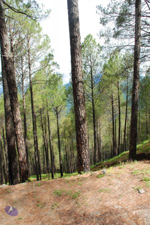 20080701 Photo 1565 1xOyB-9Mcju9VIlB6-4U1XqSpPUxImq21.JPG