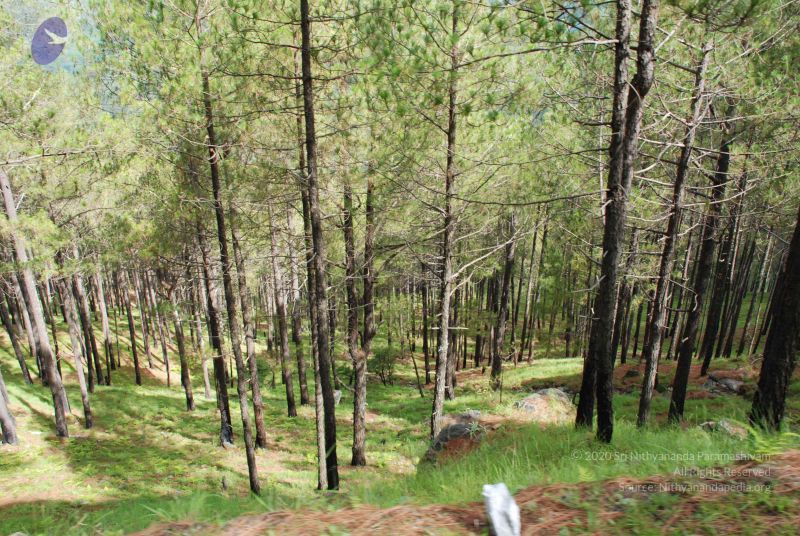 File:20080701 Photo 1566 1iURqqmPnxKVw8eiIBBp-rFvKCA4Jfjlt.JPG