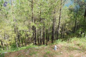 20080701 Photo 1567 13b 00U9Y-yFDkoRFJEmtDzfxi8tjJhtH.JPG