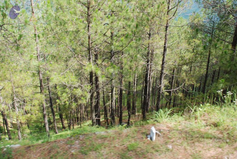 File:20080701 Photo 1567 13b 00U9Y-yFDkoRFJEmtDzfxi8tjJhtH.JPG