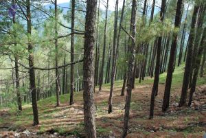 20080701 Photo 1569 189jRm-pMbpJVfnvp9tiBAMTt2c1kl3dR.JPG