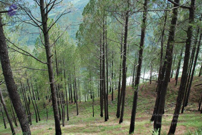 20080701 Photo 1570 1mSTdmdP-EWteRBICxnC9KSR3VEZIOh5f.JPG