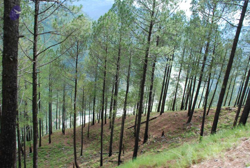 File:20080701 Photo 1571 1Vr5qmLDEeokbcMQ-Yv4qeS7BDp0uBzzn.JPG